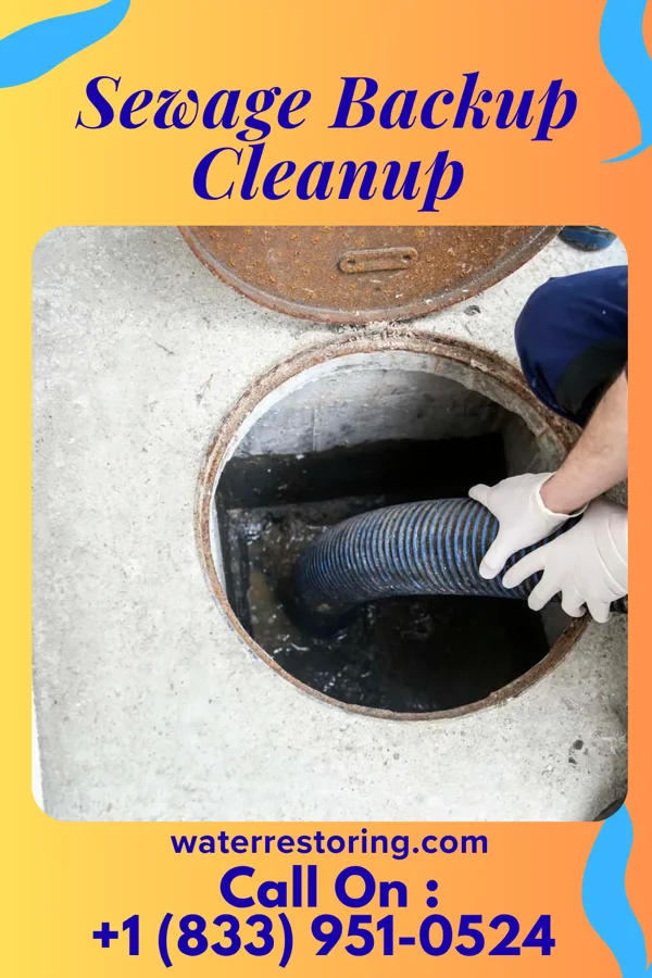 Sewage Backup Cleanup in Cedro, NM